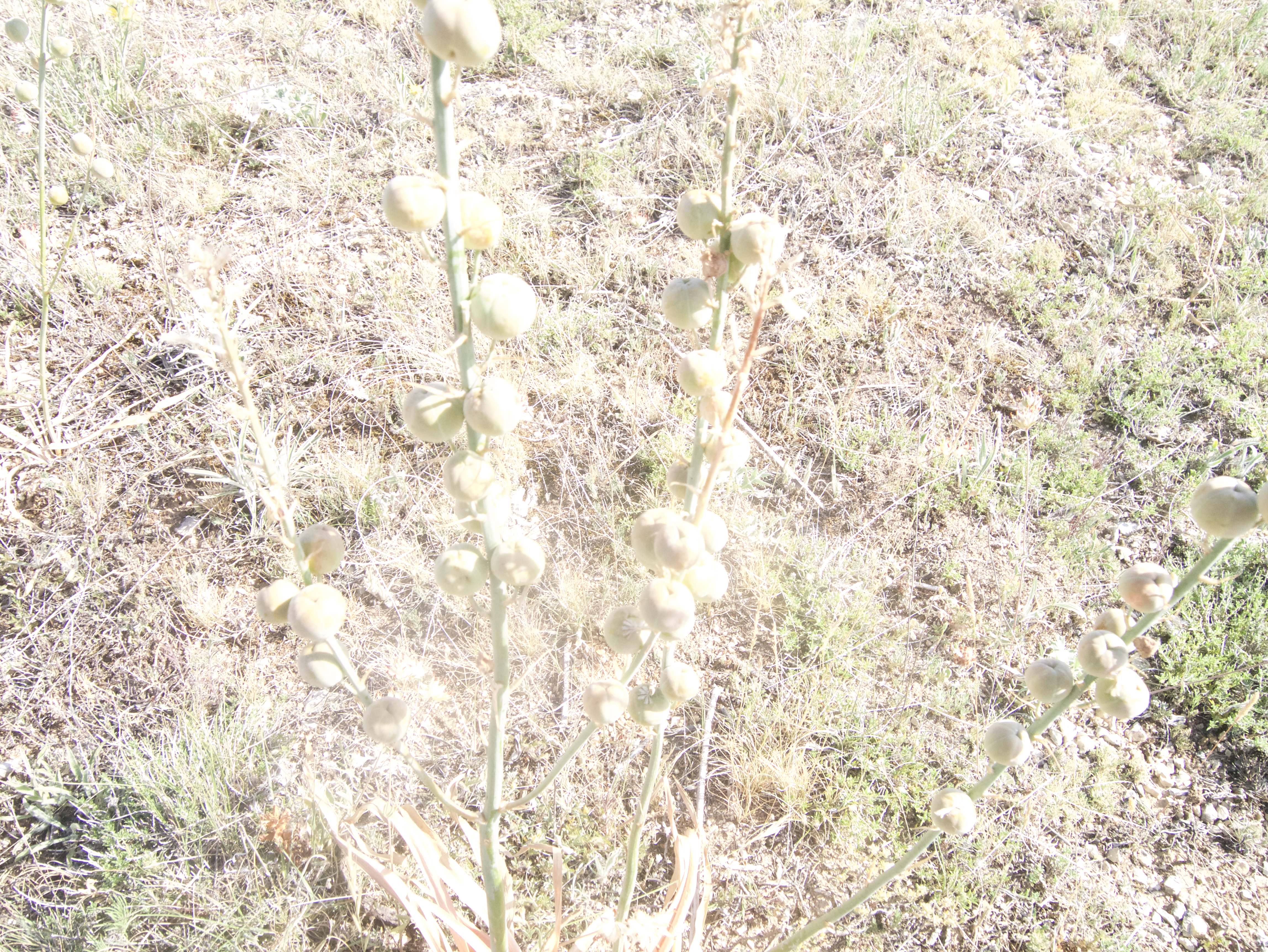 P1190462