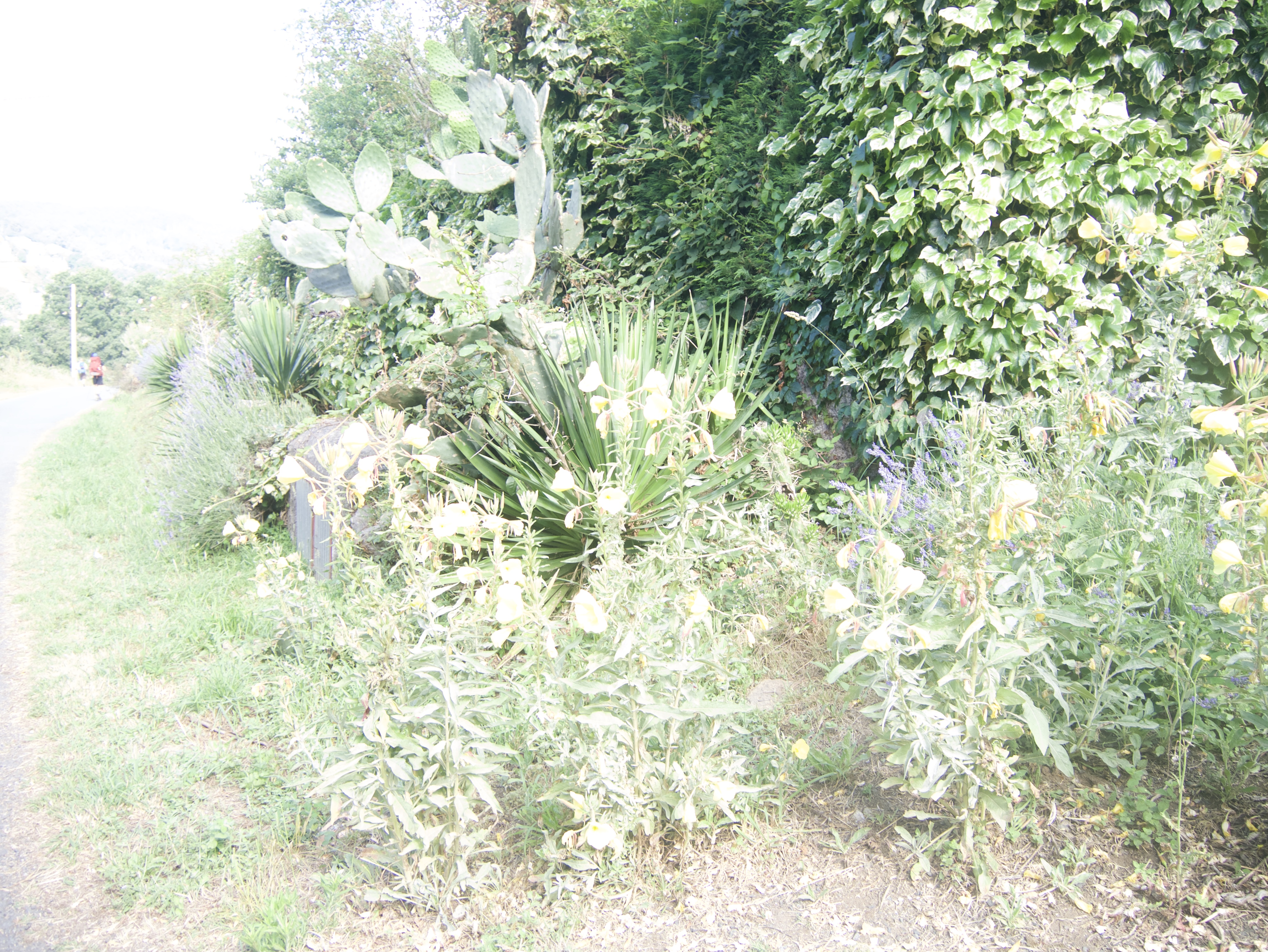 P1200050