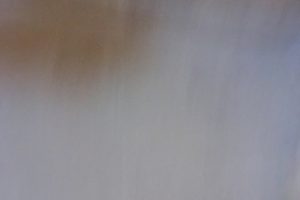 IMG_1041