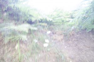 P1200042